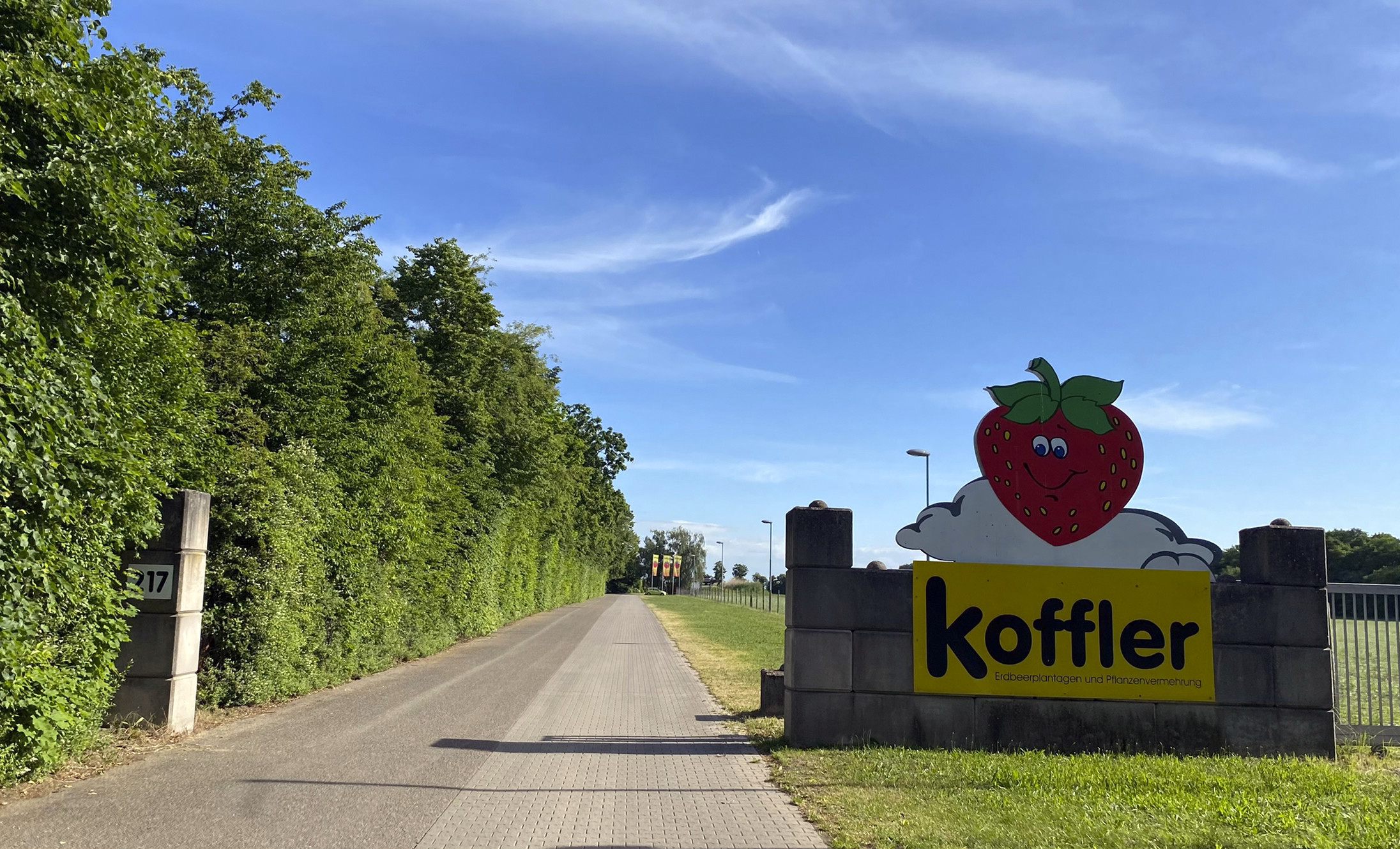 Anfahrt Hofladen &amp; Erdbeerplantage Koffler | Koffler Erdbeeren