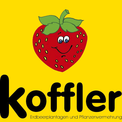 Koffler Erdbeeren