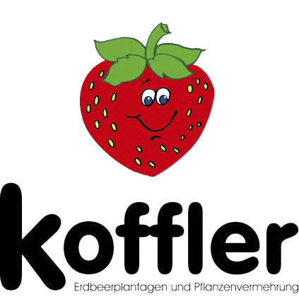 koffler-erdbeeren.de logo